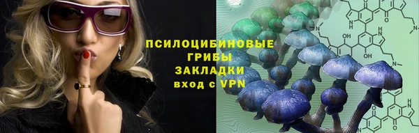 МДПВ Остров
