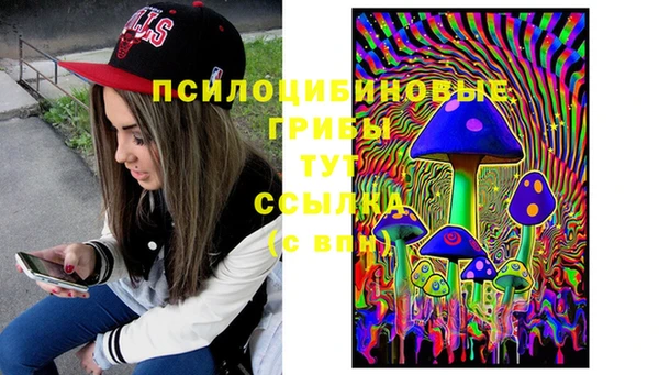 МДПВ Остров