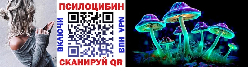 mega рабочий сайт  Электроугли  Галлюциногенные грибы Cubensis 
